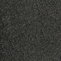 Крокодил черный