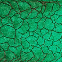 Крокодил Зеленый